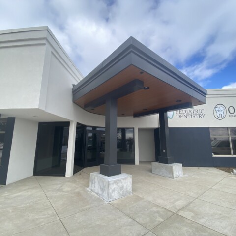 Architectural canopy with MCM wood grain paneling built by TFC.