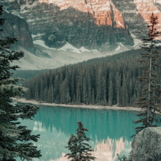 Pexels marlon martinez 505085 1450078