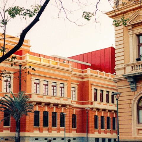 Pexels iitsbruna 29099997